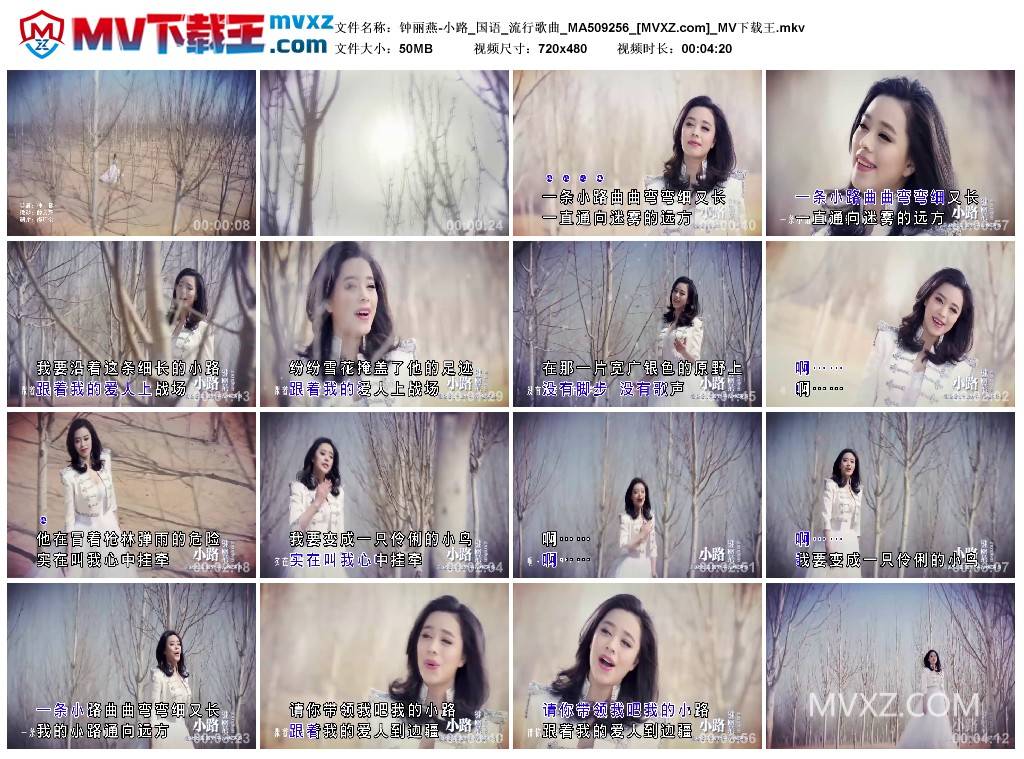 钟丽燕-小路_国语_流行歌曲_MA509256